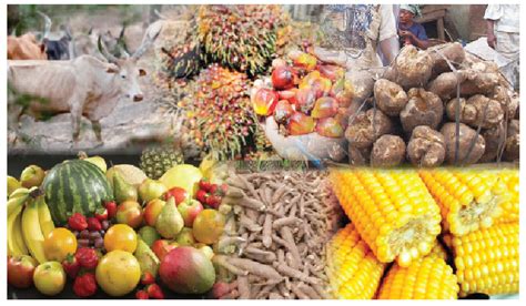 Food Inflation Rate In Nigeria Surges To Highest In Over Years