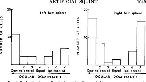 Medial rectus muscle structure | Semantic Scholar