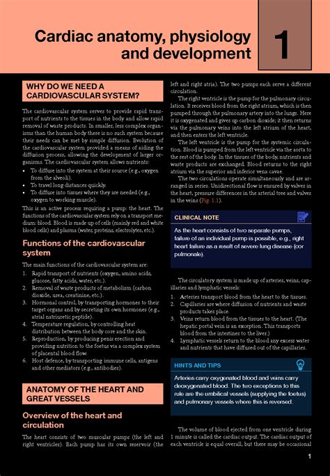 Solution Cardiac Anatomy Physiology And Development Studypool