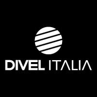 divel italia linkedin