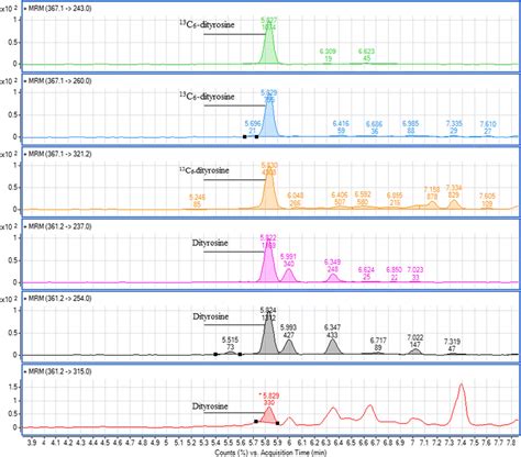 Typical Liquid Chromatography Tandem Mass Spectrometry Chromatograms Of