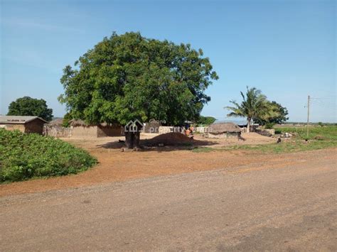 For Sale Budget Friendly Plots Dawa Tsopoli Ningo Prampram District