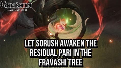 Let Sorush Awaken The Residual Pari In The Fravashi Tree Genshin