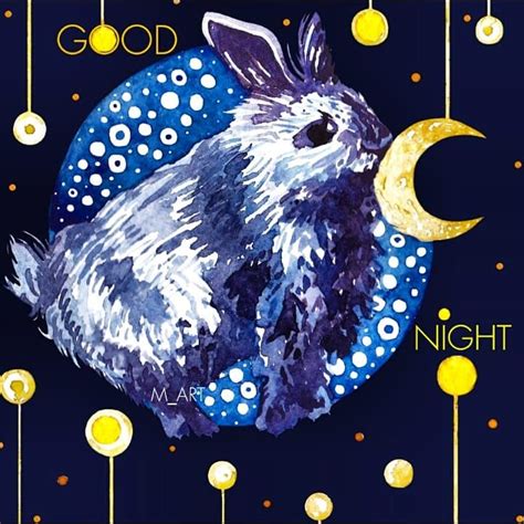 •night Rabbit