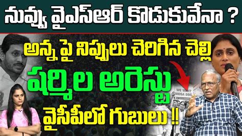 APCC Chief YS Sharmila Sensational Comments On CM YS Jagan నవవ