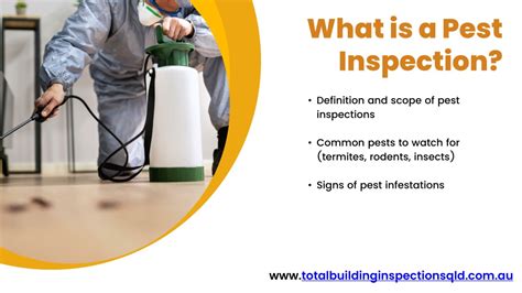 Ppt Get A Comprehensive Pest And Building Inspection Powerpoint Presentation Id13310291