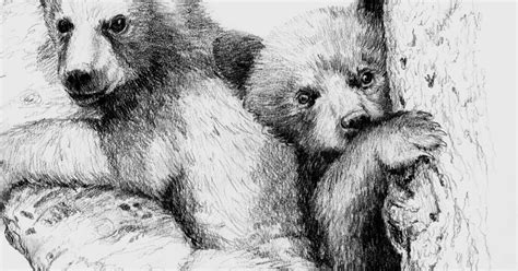 Beth Dix Art...embroidery and quilting!: Pencil sketch of bear cubs