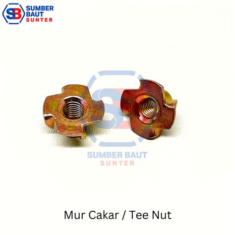 Jual M Mur Cakar Tee Nut Shopee Indonesia