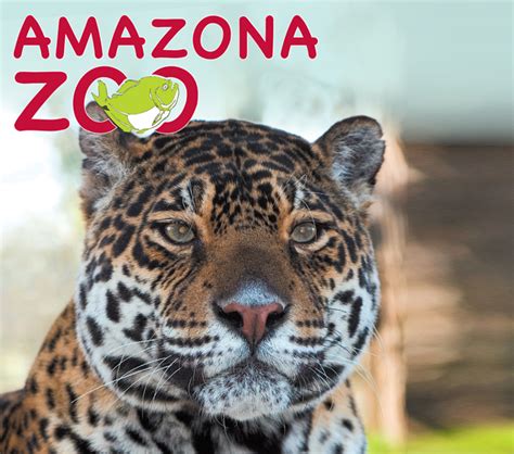 Amazona Zoo Cromer - Save Up to £6 Voucher 2015.