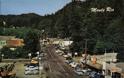 View of Town with Forest Monte Rio, CA Postcard