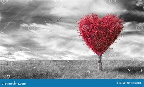 Red Heart Shaped Tree On Black And White Landscaped Background Stock