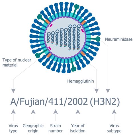 Medical Virology Solution