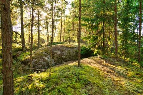 Hiking In Finland – 7 Best Hiking Trails In Finland