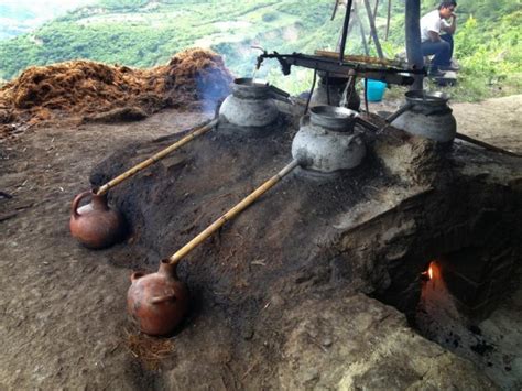 Bacanora La Bebida Tradicional Del Estado De Sonora Noro