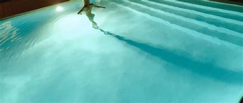 Isabel Lucas Nude In The Swimming Pool From Knight Of Cups Movie