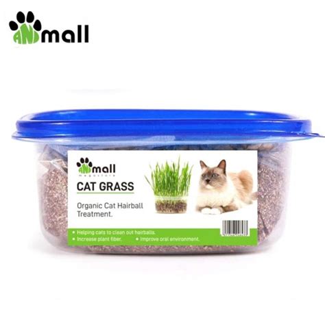 Buy Animall Organic Cat Hairball Treatment Cat Grass | توصيل Taw9eel.com