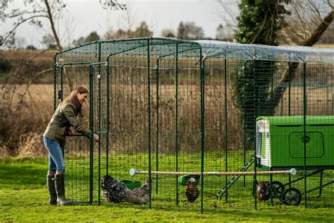 Das kleine 1x1 der Hühnerhaltung für Anfänger Omlet Blog Deutschland