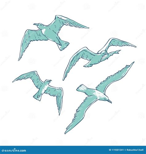 Vector Set Flying Seagulls Bird Gull Angler Monochrome Outline Sketch