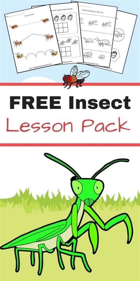 Insect Activities For Kindergarten