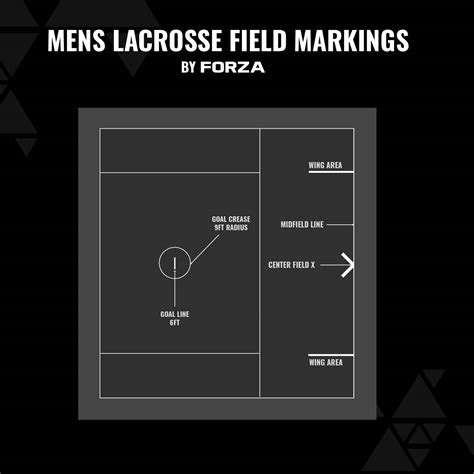 Lacrosse Field Dimensions & Layout Guide | Net World Sports