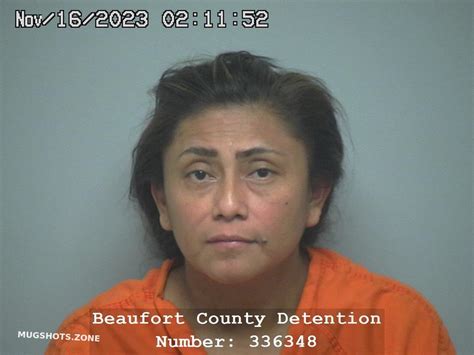 Gloria Hernandez Garcia 11 16 2023 Beaufort County Mugshots Zone