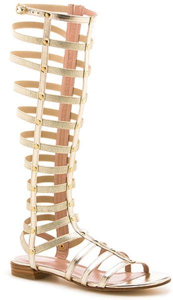 Stuart Weitzman Gladiator Tall Gladiator Sandal In Metallic Gold In