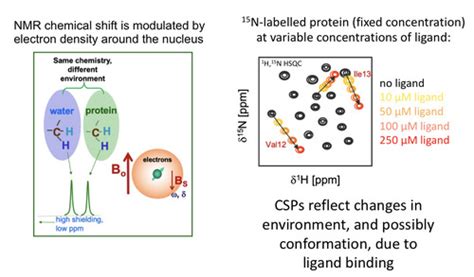 L4 Protein Ligand Interactions By NMR Flashcards Quizlet