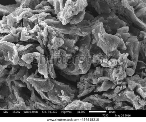 Original Scanning Electron Microscope Images Used Stock Photo 459618310 ... 