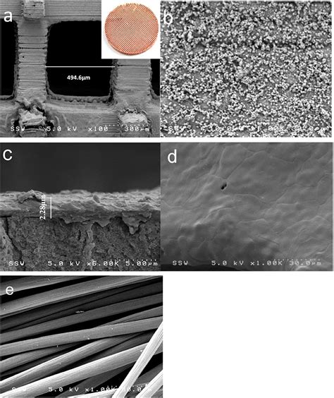 Frontiers Application Of 3d Printed Porous Copper Anode In Microbial