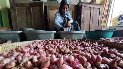 Update Harga Bawang Merah Dan Bawang Putih Di Seluruh Kabupaten Kota