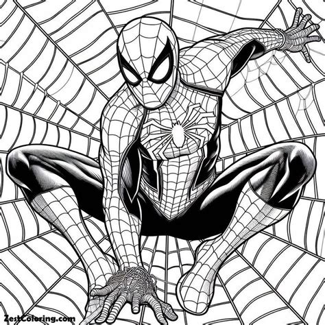 Spiderman On Spider Webs Coloring Page In Coloring Pages