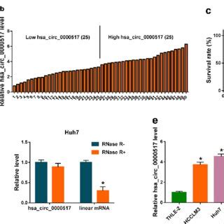 Effects Of Hsa Circ 0000517 Down Regulation On Proliferation Colony