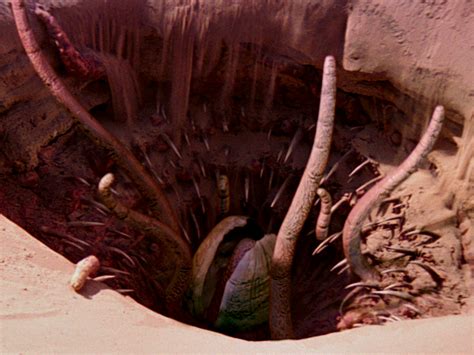 Sarlacc Star Wars Wiki Fandom