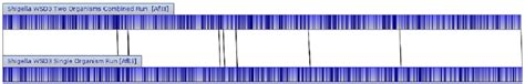 Shigella Genomes Complete Circularized S Dysenteriae Genomes From