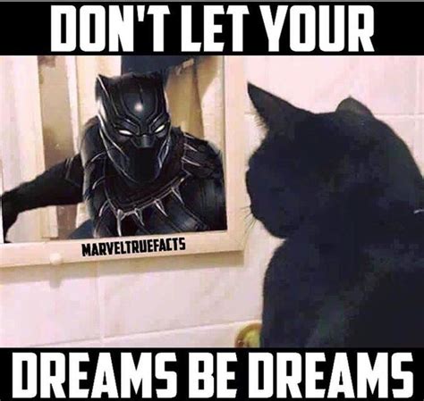 Hilarious Black Panther Memes That Only True Fans Will Understand