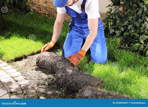 Gardener Laying Grass Sod on Backyard, Closeup Stock Image - Image of ...