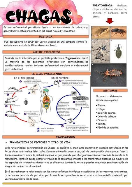 Chagas Aangella Pt Udocz Info Yan Tips