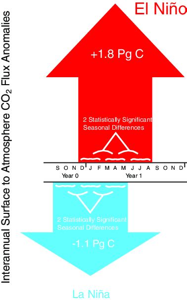 Summary of strong La Ninã and El Ninõ effects on interannual ...