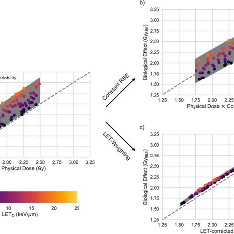 Schematic Illustration Of Biological Variability In Rbe A Download Scientific Diagram