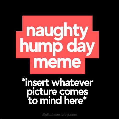 Sexy Hump Day Meme