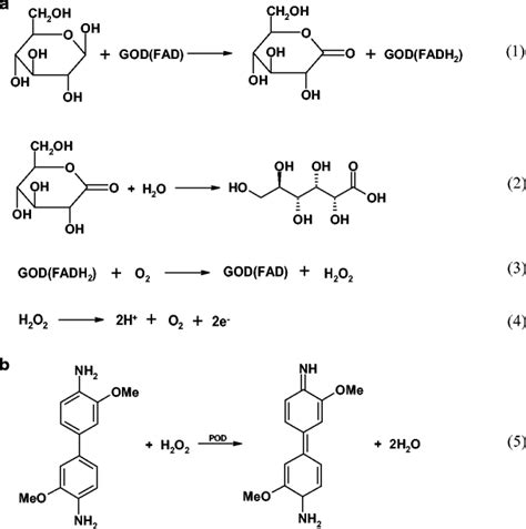 a (1)–(4)—the mechanism of a first-generation glucose biosensor. b ...