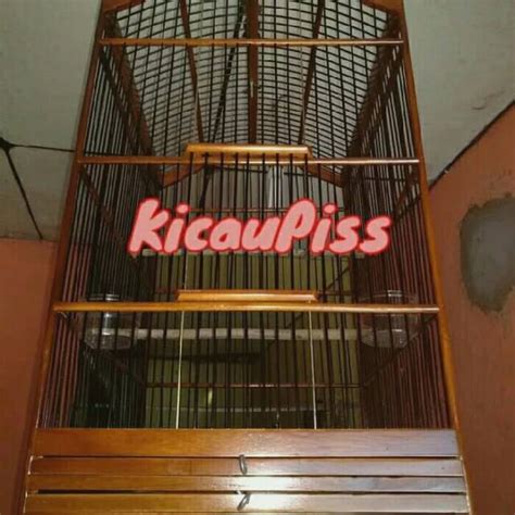 Jual Kandang Burung Kotak Replika Ebd No Shopee Indonesia