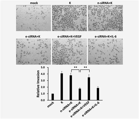 Kshv Activation Of Vegf Secretion And Invasion For Endothelial Cells Is