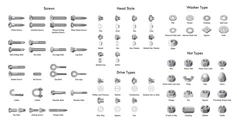 Types of Screws chart : r/coolguides