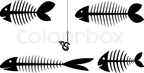 Set Of Fish Skeletons Vector Illustration Stock Vector Colourbox