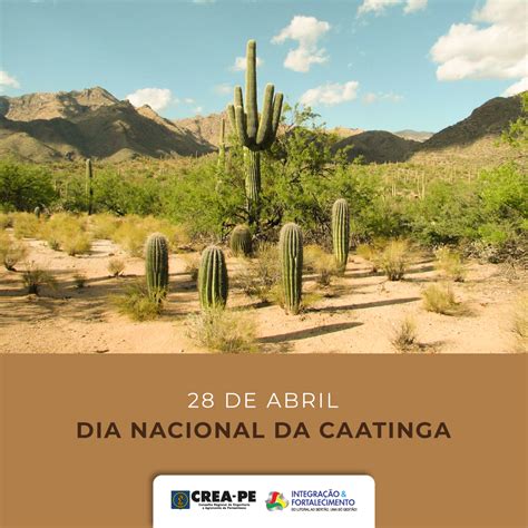 Dia Nacional Da Caatinga Crea Pe