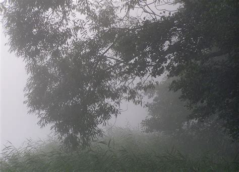 mist 1 Free Stock Photo | FreeImages