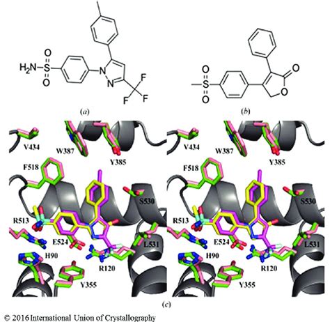 Comparison Of Celecoxib And Vioxx Rofecoxib Bound Within The