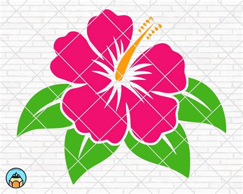 Hibiscus Flower Svg Hibiscus Svg Flower Svg Hibiscus Clip Art