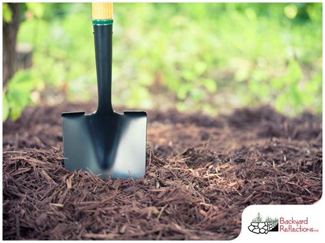 Mulching 101: Essential Facts